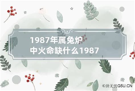 炉中火命兔|火兔命里缺什么？ 87年出生命理解析 ！